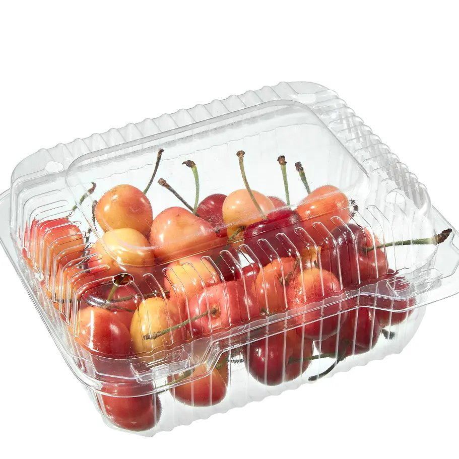 Caja de plástico reutilizable para comida, recipiente de plástico para comida, Sushi, tapa transparente, para llevar