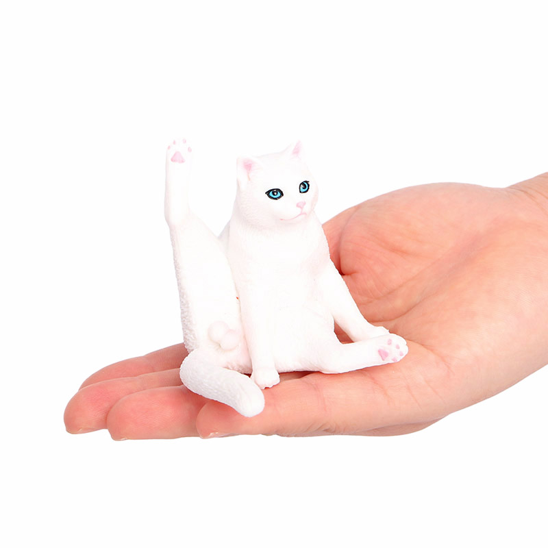 2825 gato