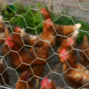 <strong>Hexagonal</strong> <strong>Mesh</strong> Wire <strong>Netting</strong> Single Double Twisted 1&quot; 1/2&quot; 3/4&quot; Chicken <strong>Mesh</strong> Net Hot Dip Galvanized 0.7mm Field Farm Animal Fence - Product Image 3