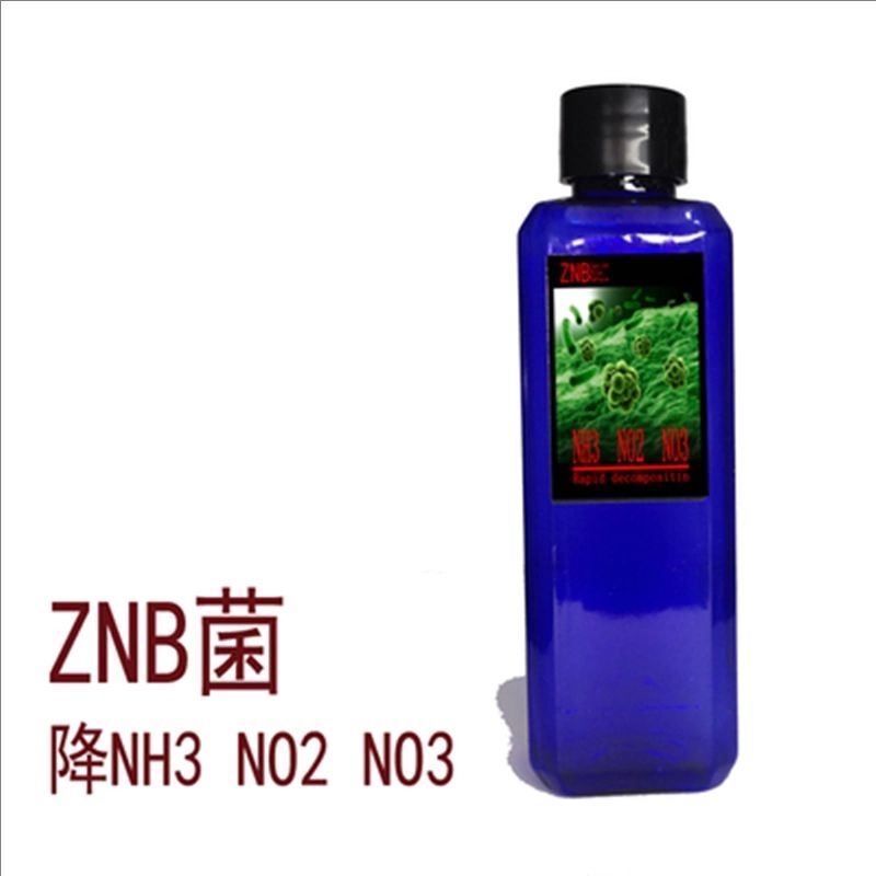 Znb totipotent bacteria 100ml