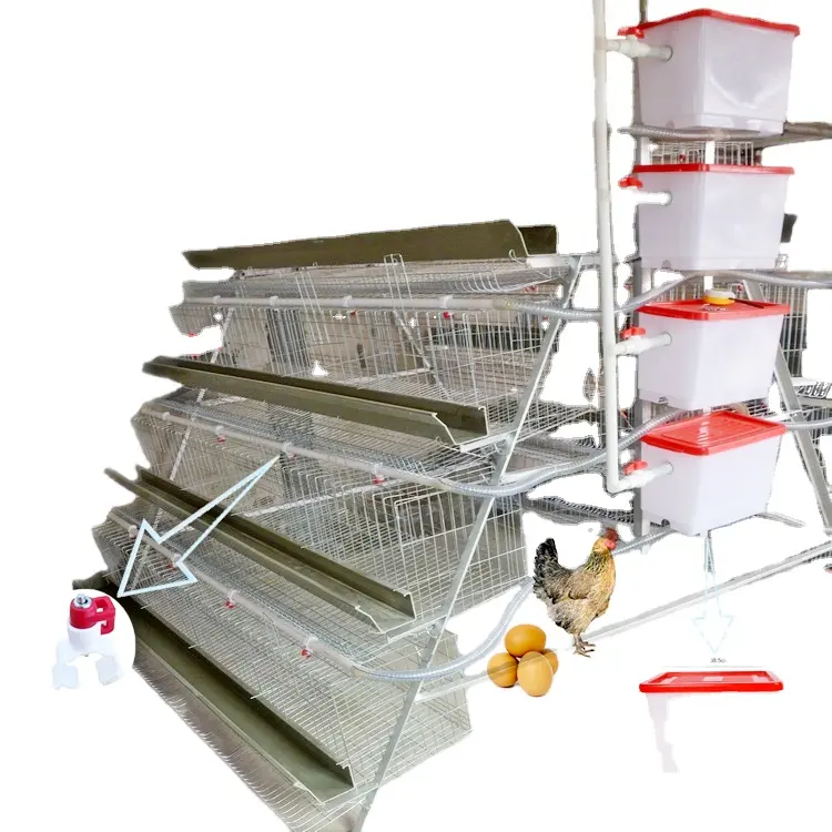 A type laying hens chicken cage battery cage with nipple system poultry chicken cage for Berin farm