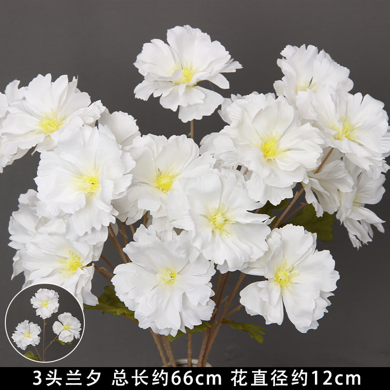 Fleur/tige d'orchidée blanche à 3 têtes