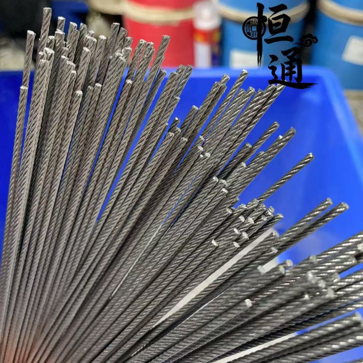 304 Stainless Steel (Standard Model)