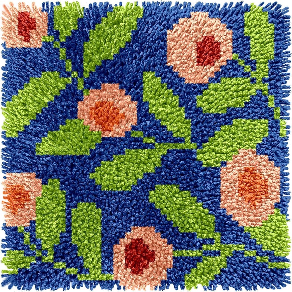 DS219 colorido