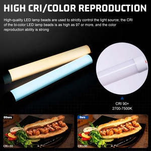 ZSYB ไฟ LED เปลี่ยนสีได้สำหรับใช้ในการถ่ายภาพอาชีพแบบพกพา - Product Image 4