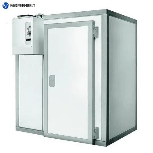 Begehbare Industrie kühl kammer/Gefrier raum/Kühlraum