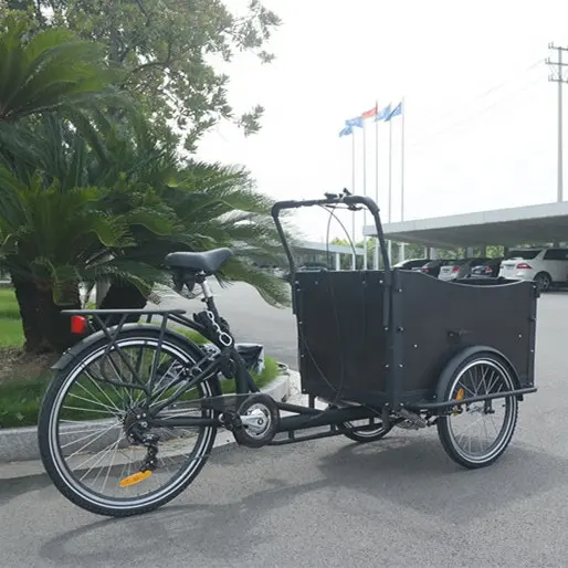 Aile pedalı yardımcı 3 tekerlekli kargo bisiklet satılık yetişkin üç tekerlekli bisiklet kargo bisiklet üç tekerlekli kargo bisiklet