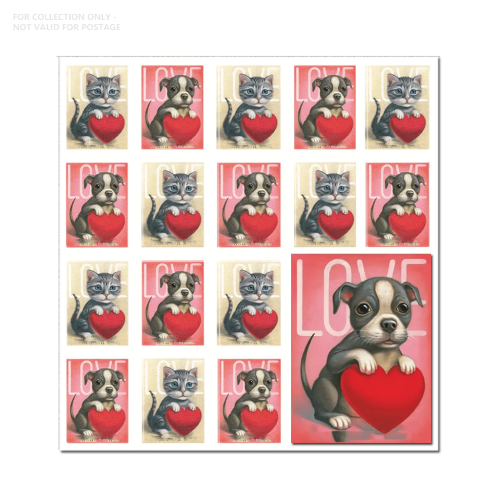 Blanc Y66 2023 Amour de chat et de chien