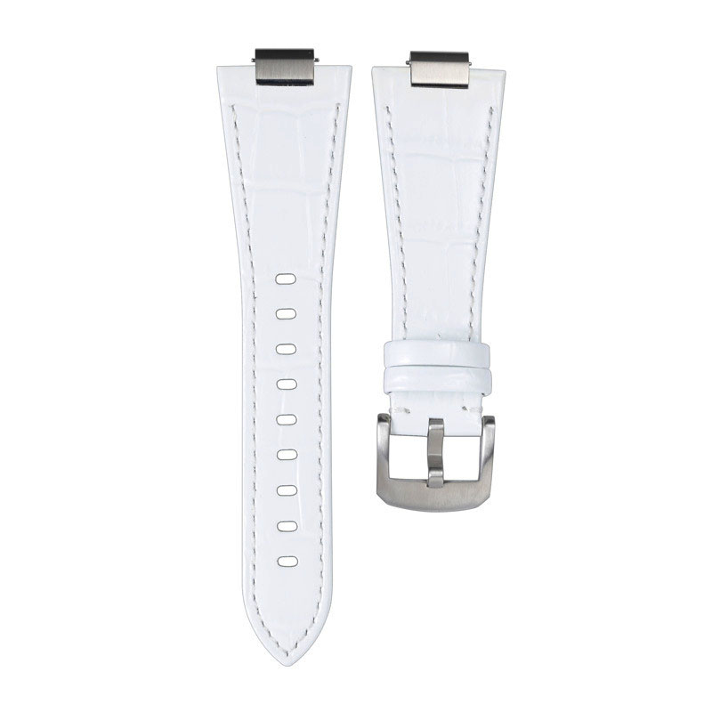 crocodile blanc
