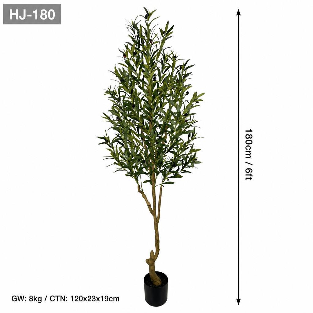 1.8m olive
