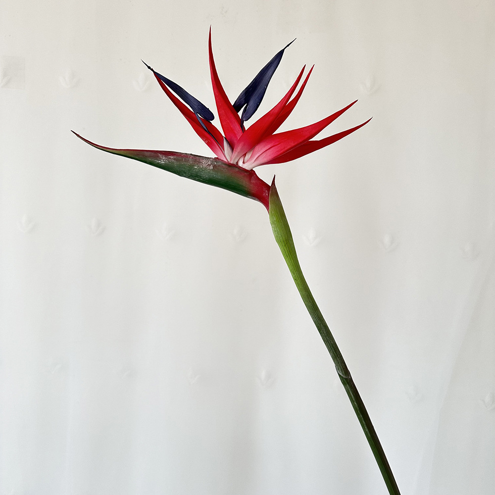 Grand rouge