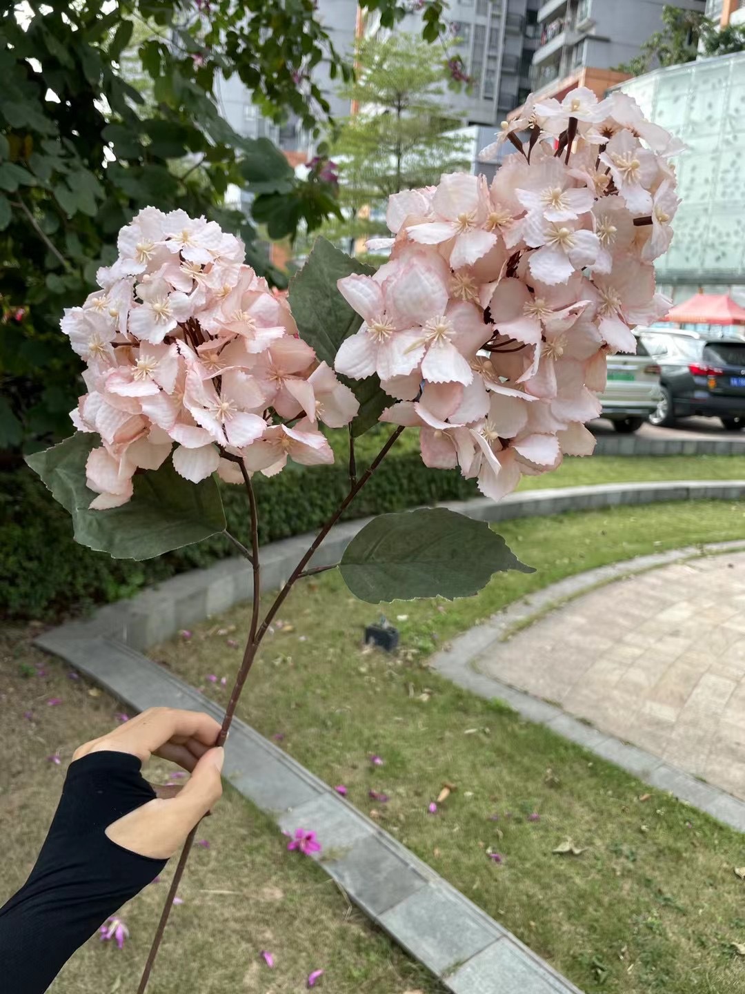 2 têtes de poudre de viande d'hortensia stupa