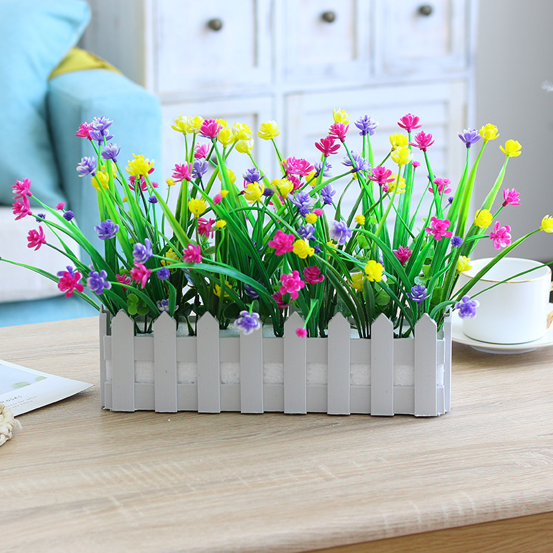 30 Gypsophile, Fleur de Milan, Jaune, Rouge, Bleu