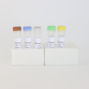 HPS (Haemophilus parasuis) Fluorescent PCR Detection Kit - TaqMan Probe Method, High Sensitivity for Swine Farms - Product Image 4