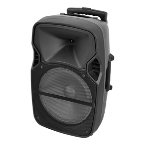 High-power 15 Inch Subwoofer Outdoor Portable Concert Sound System <strong>Bluetooth</strong> Indoor Karaoke PA Speaker with RGB Flash Led Light - Product Image 2