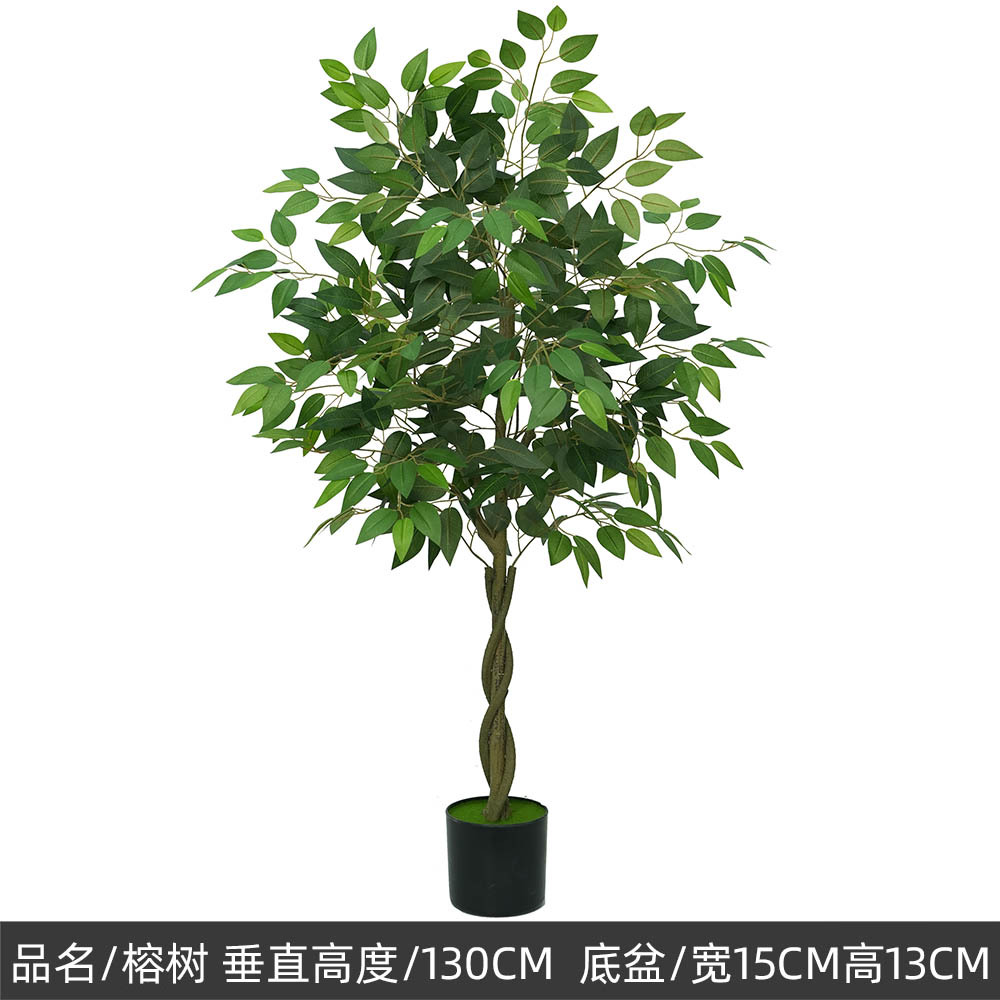 petit banian vert 120cm