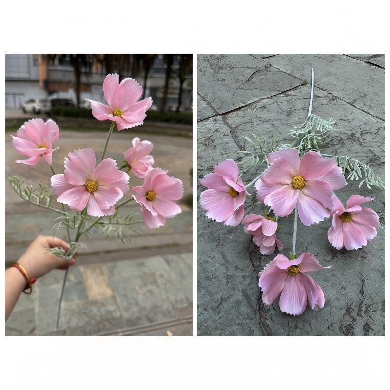 Pink 6-Head Flocked Princess Cosmos -2