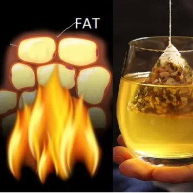 Effective belly fat burning tea Flat tummy tea GMP factory