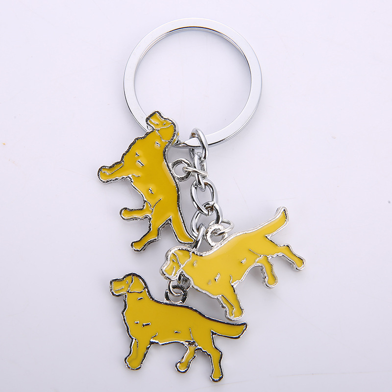 retriever doré