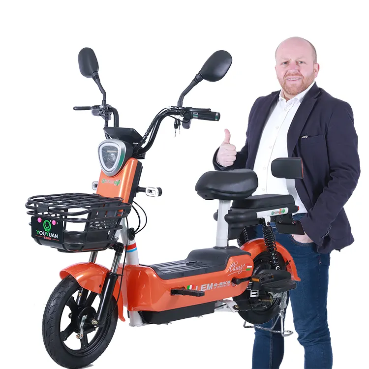 Y2-QJ CKD batteria rimovibile 2024 energia verde 2 ruote a basso prezzo bici elettrica 350w 14 pollici e bici bicicletta elettrica