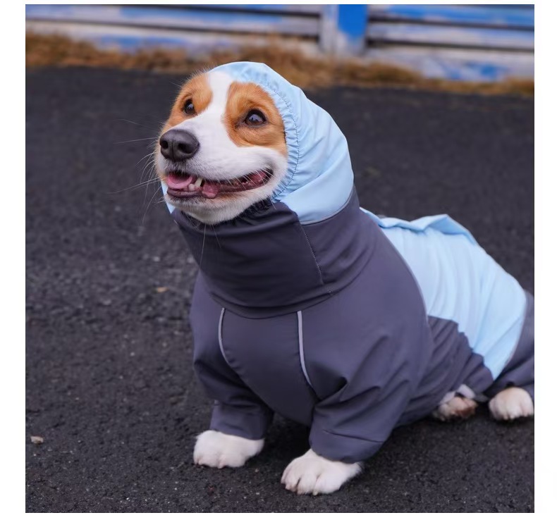 Bleu