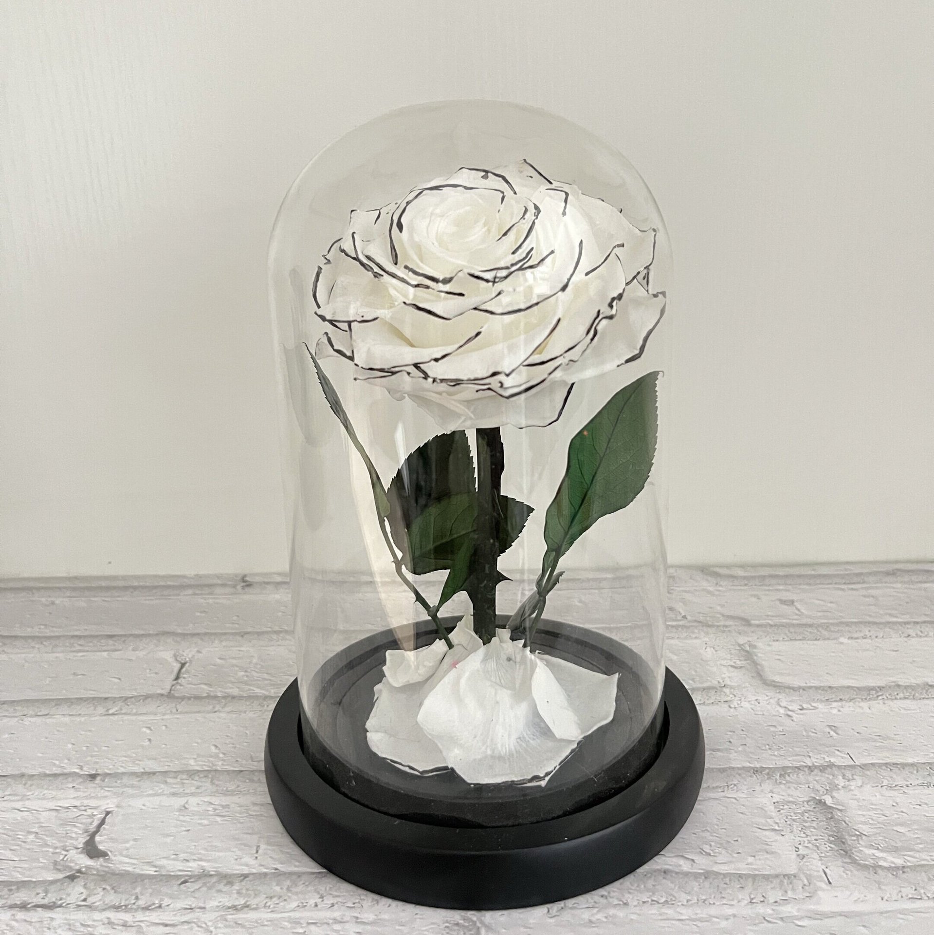 Chanson fond noir sans lampe et boîte cadeau