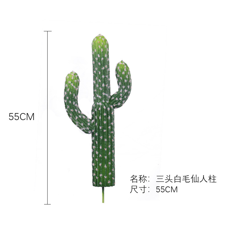 Cactus à trois têtes aux cheveux blancs