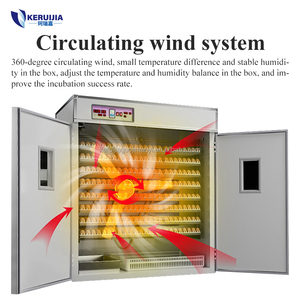 New Home sử dụng 1056 nhựa tự động lồng ấp trứng và Máy Ấp Trứng cho gà & trứng heo con - Product Image 2