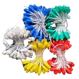 RGB ha condotto la stringa del punto luminoso del Pixel per le decorazioni di natale festiva i moduli della stringa della luce - Product Image 6
