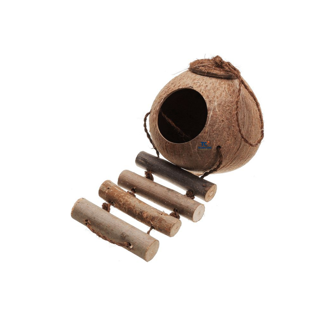 ธรรมชาติ