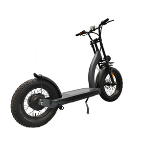750wモーター<span class=keywords><strong>16</strong></span>インチスノー電動スクーターオフロードデュアルドライブ電動スクーター
