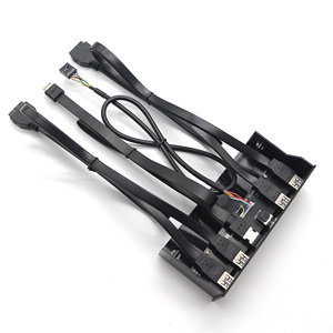 OEM USB3.0 USB3.1 5 Ports <strong>USB</strong> a Female *<strong>3</strong> + Type C + DC <strong>3</strong>.5mm to 20Pin 9Pin Type E 10Gbps 5Gbps Cable with Board - Product Image 4