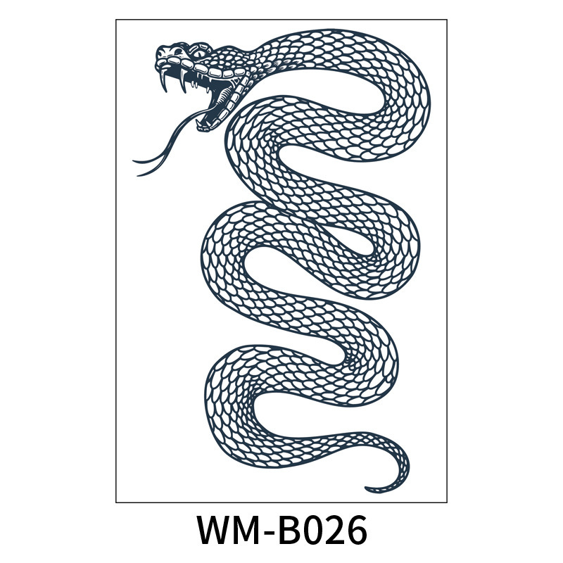 WM-B026