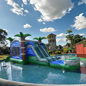 Tobogán de agua inflable grande de fabricante chino, tobogán de agua de 22 pies, deslizamiento de presión en un tobogán de agua - Product Image 1