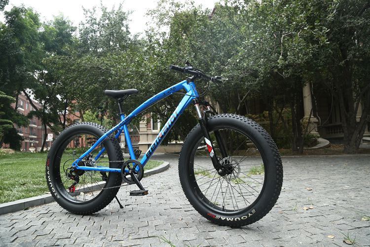 Léopard bleu gemme