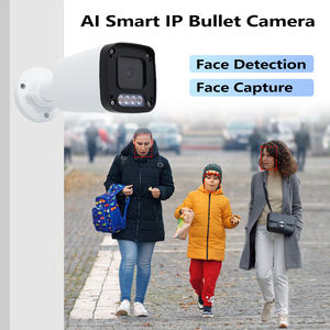 AI Cctv批发OEM 2MP 3MP 4MP 5MP 6MP 8MP子弹Ip安全网络摄像机Poe Colorvu摄像机 - Product Image 6