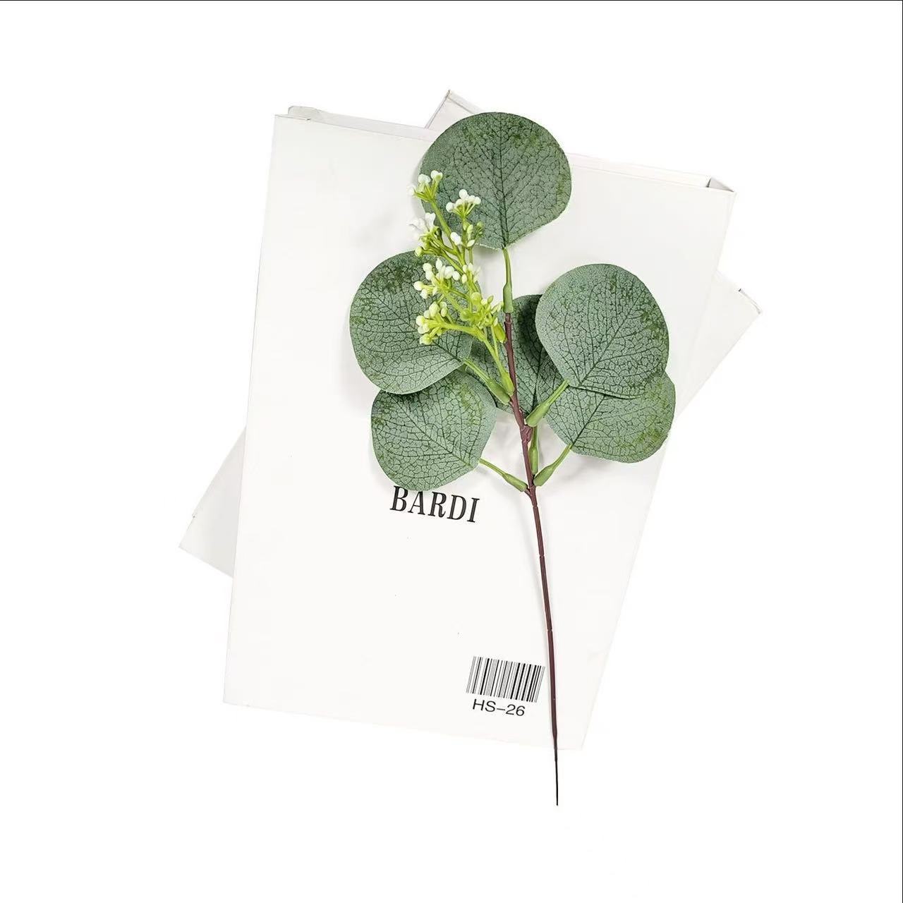 Eucalyptus with fruiting round leaf 33cm