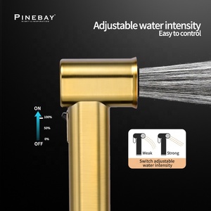PINEBAY Modern tasarım banyo ABS yuvarlak bide tuvalet duş altın kolay kontrol WC Shattaf seti kadın el bide püskürtme seti - Product Image 3