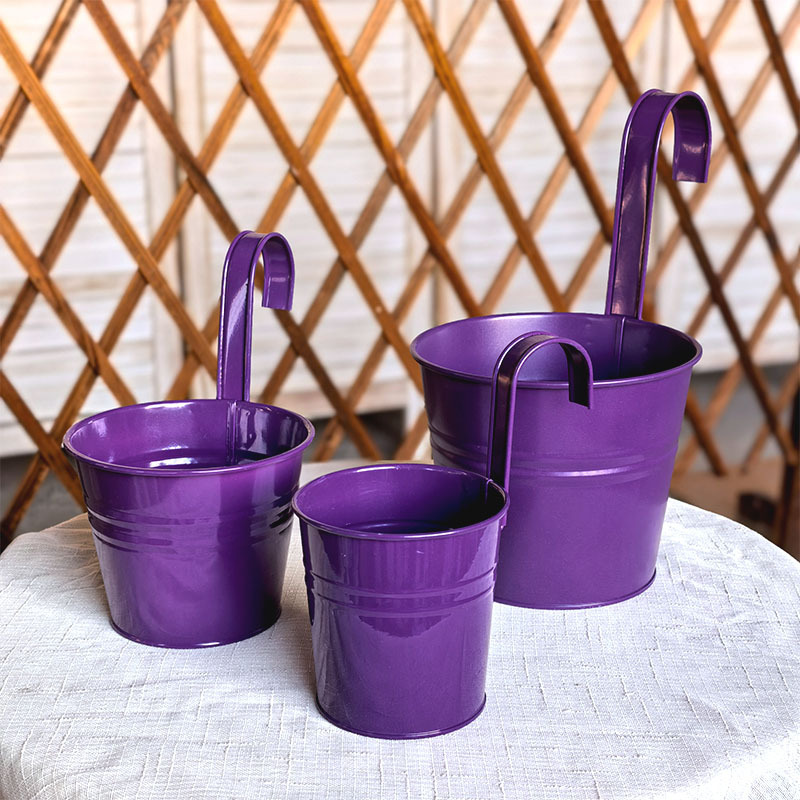 Morado