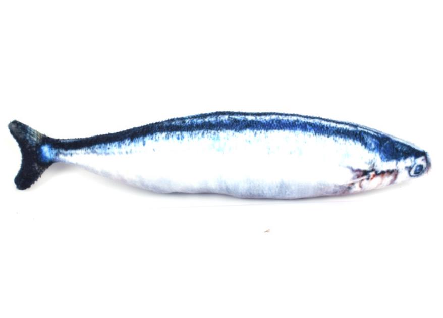 Saury
