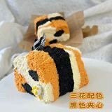 Toast chat tricolore