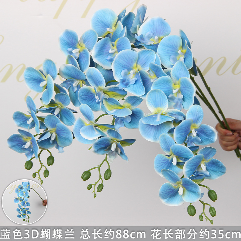 Orchidée Phalaenopsis bleue à 9 têtes (imprimée en 3D)