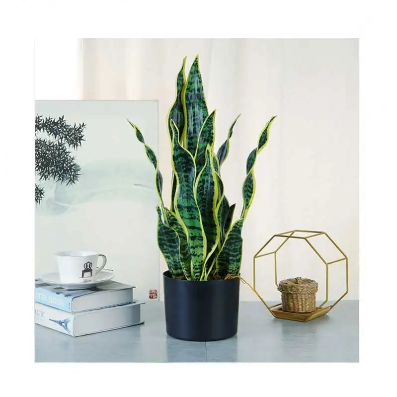 landscape artificial sansevieria plant tropical bonsai plant for indoor decoration