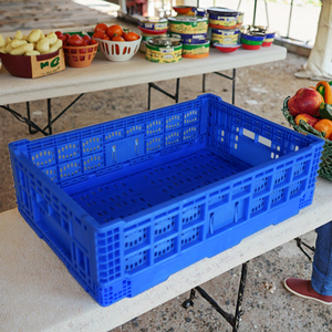 HAOSEN 50L Cesta de almacenamiento de frutas y verduras plegable de alta resistencia Reciclable PP Malla Caja plegable Contenedor plegable apilable - Product Image 2