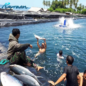 Su ürünleri geomembran için 0.5mm 0.75mm HDPE Geomembrane1.0mm HDPE gölet gömlekleri 1.5mm - Product Image 4