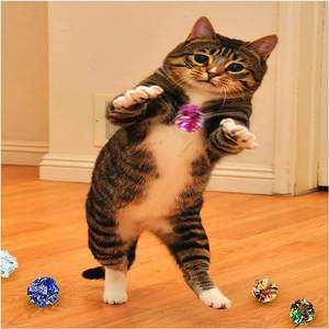 Juguetes interactivos de entrenamiento, juguetes de hierba gatera con movimiento automático para gatos, pelota para mascotas, pelota rodante, juguetes inteligentes para gatos - Product Image 1