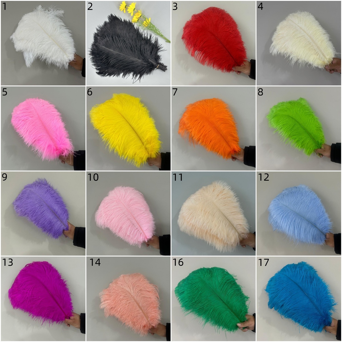 colori 1