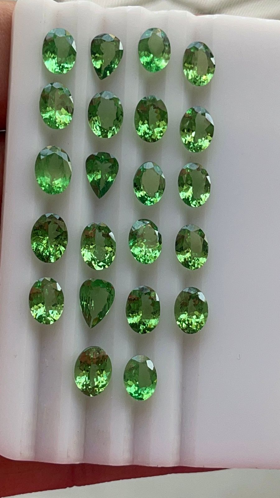 Vert