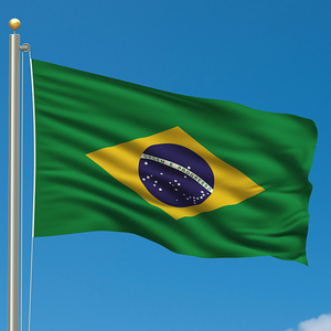 販促品工場banderas de paisesロゴ3x5フィート100% ポリエステル耐久性のある屋外カスタムブラジル国旗 - Product Image 3