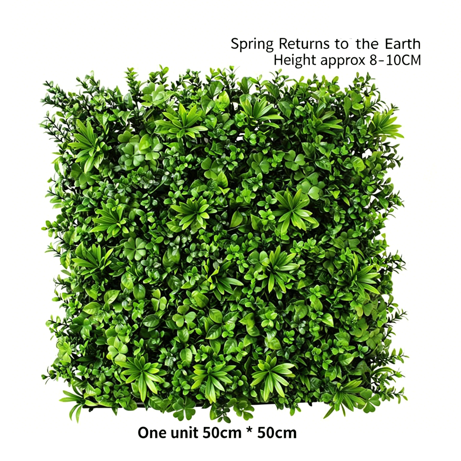 Le printemps revient sur Terre
